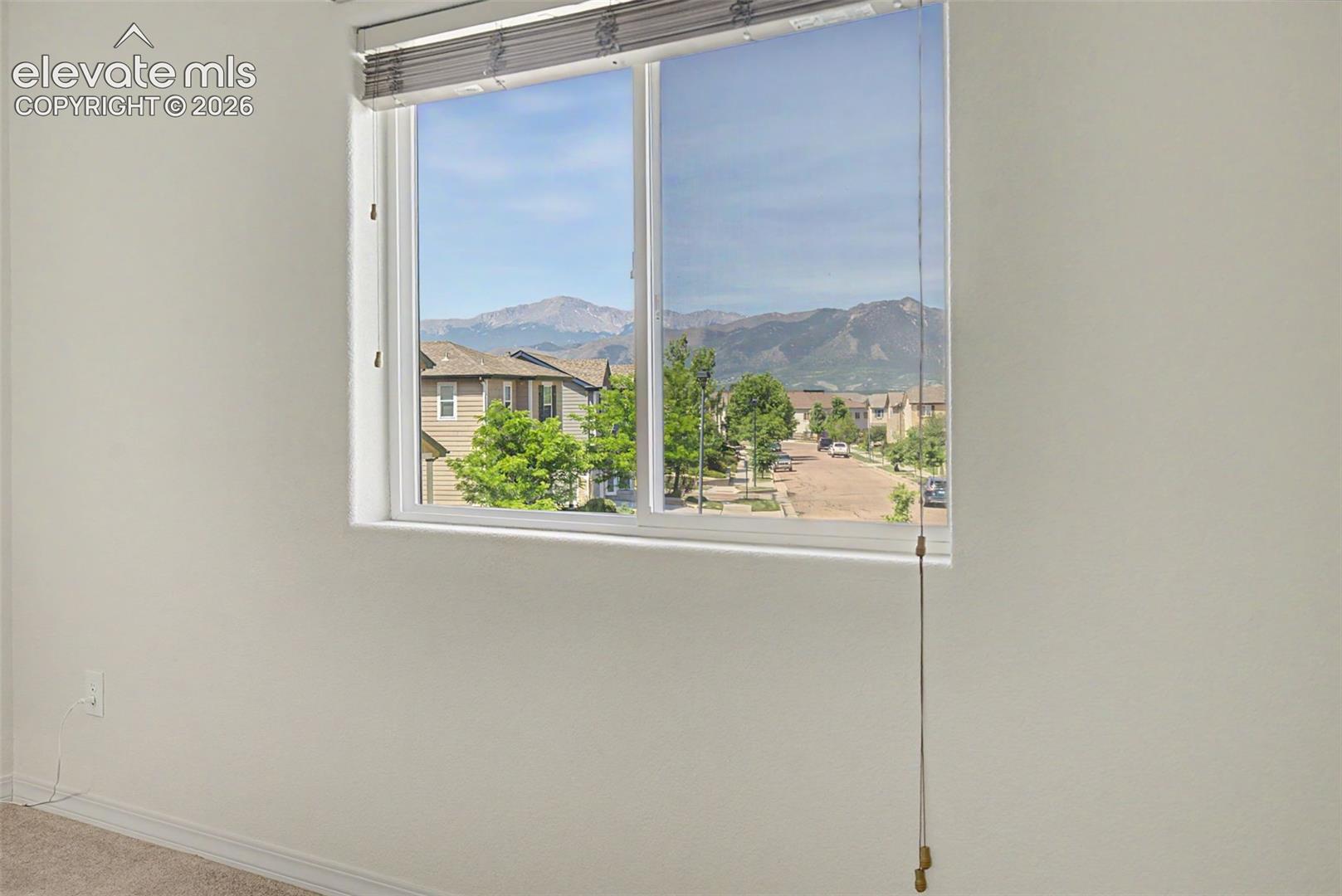 11675 Black Maple Lane