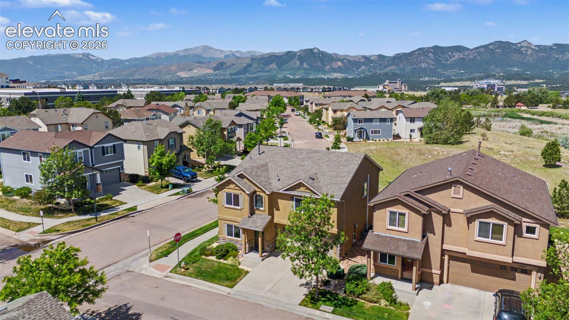 11675 Black Maple Lane