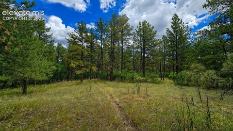 Photo of 00 Westwood Road, Colorado Springs, CO 80919 (MLS # 8798566)
