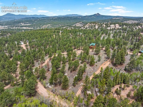 Tiny photo for 605 Obsidian Drive, Florissant, CO 80816 (MLS # 6681932)