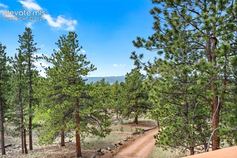 Tiny photo for 605 Obsidian Drive, Florissant, CO 80816 (MLS # 6681932)