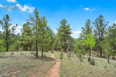 Tiny photo for 605 Obsidian Drive, Florissant, CO 80816 (MLS # 6681932)