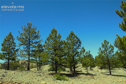 Photo of 12451 Us-24 Highway, Hartsel, CO 80449 (MLS # 1030654)
