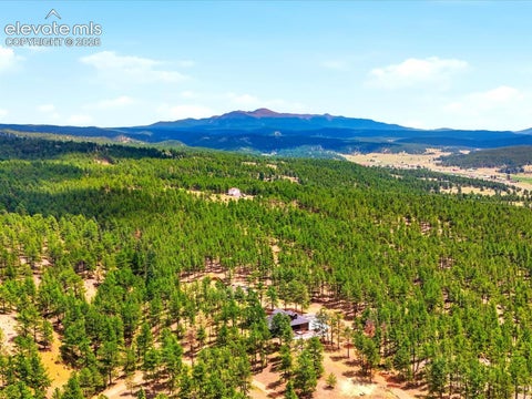 Tiny photo for 584 Pikes Peak Drive, Florissant, CO 80814 (MLS # 8996891)