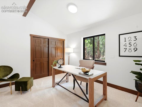 Tiny photo for 584 Pikes Peak Drive, Florissant, CO 80814 (MLS # 8996891)