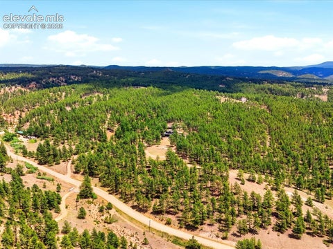Tiny photo for 584 Pikes Peak Drive, Florissant, CO 80814 (MLS # 8996891)