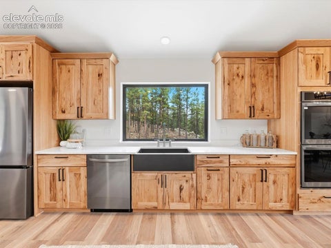 Tiny photo for 584 Pikes Peak Drive, Florissant, CO 80814 (MLS # 8996891)
