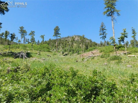 Photo of 8249 Yuma Circle, Larkspur, CO 80118 (MLS # 4392067)