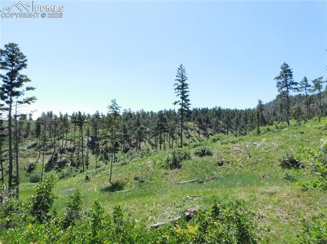 8249 Yuma Circle, Larkspur, CO, 80118 8249 Yuma Circle