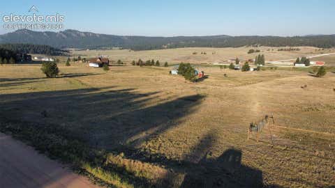 Photo of 1855 S Mountain Estates Road, Florissant, CO 80816 (MLS # 3846946)