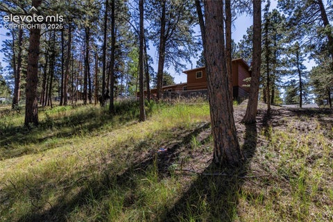 Tiny photo for 702 Sunnywood Loop, Woodland Park, CO 80863 (MLS # 6287824)