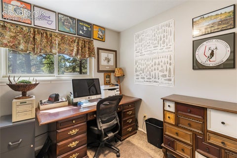 Tiny photo for 702 Sunnywood Loop, Woodland Park, CO 80863 (MLS # 6287824)