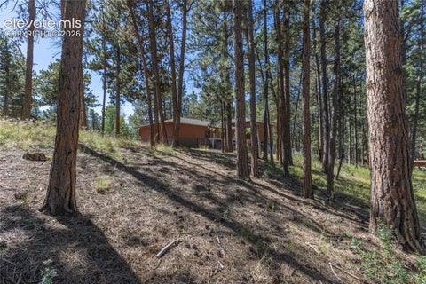 Tiny photo for 702 Sunnywood Loop, Woodland Park, CO 80863 (MLS # 6287824)