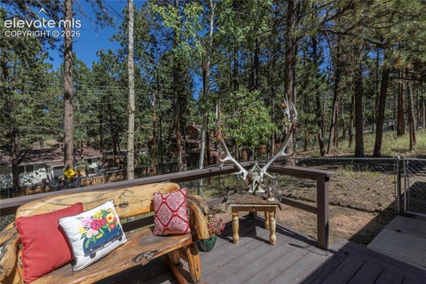 Tiny photo for 702 Sunnywood Loop, Woodland Park, CO 80863 (MLS # 6287824)