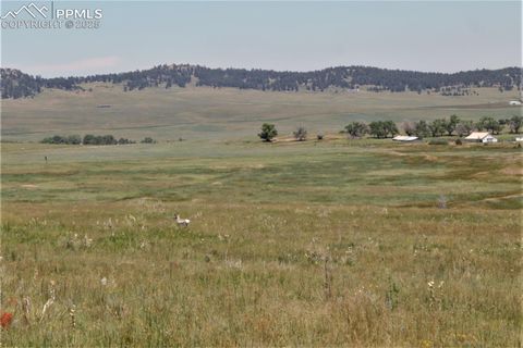 Photo of 7 Mcclelland Road, Calhan, CO 80808 (MLS # 6266889)