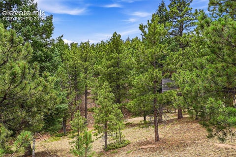 Tiny photo for 21302150 Arapahoe Street, Woodland Park, CO 80863 (MLS # 2228827)