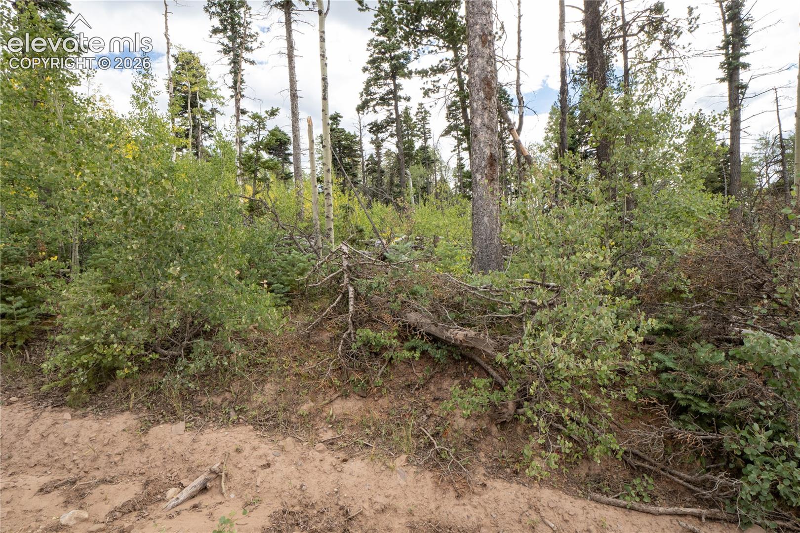 LOT 2614 Petito Drive