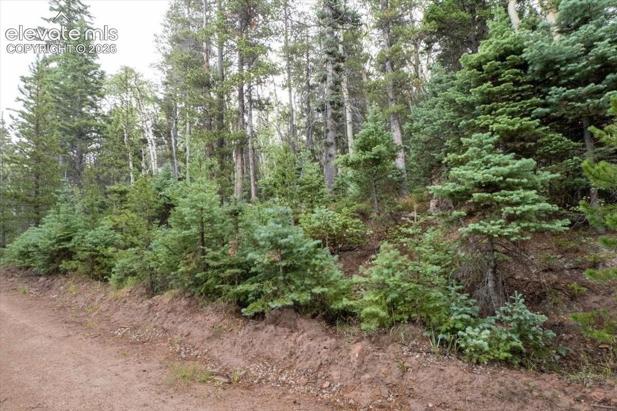 LOT 2614 Petito Drive