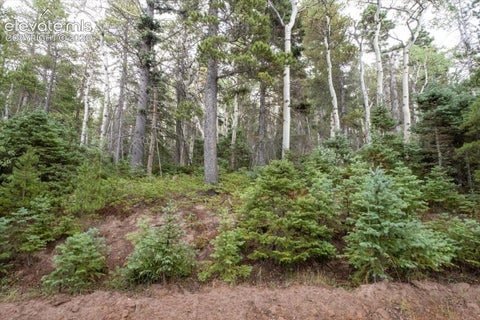 Photo of 2614 Petito Drive, Fort Garland, CO 81133 (MLS # 2812372)