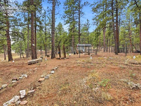 Tiny photo for 14635 Westcreek Road, Woodland Park, CO 80863 (MLS # 4043010)