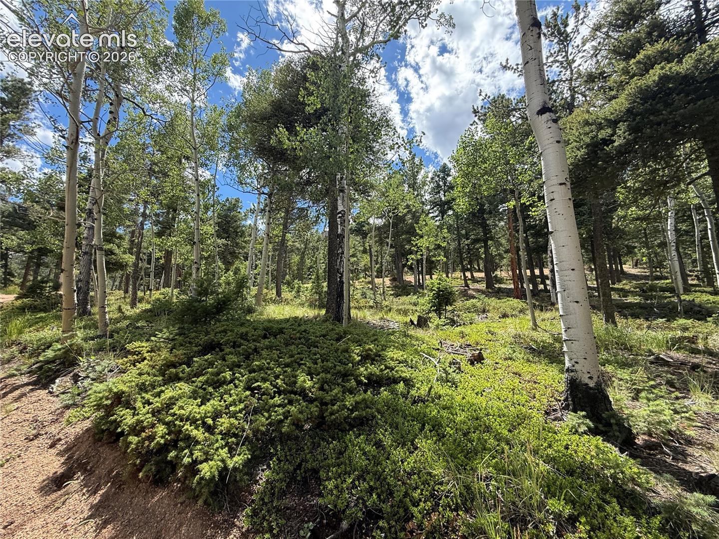 167 Big Bear Road