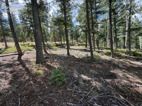 Photo of 167 Big Bear Road, Manitou Springs, CO 80829 (MLS # 7326662)