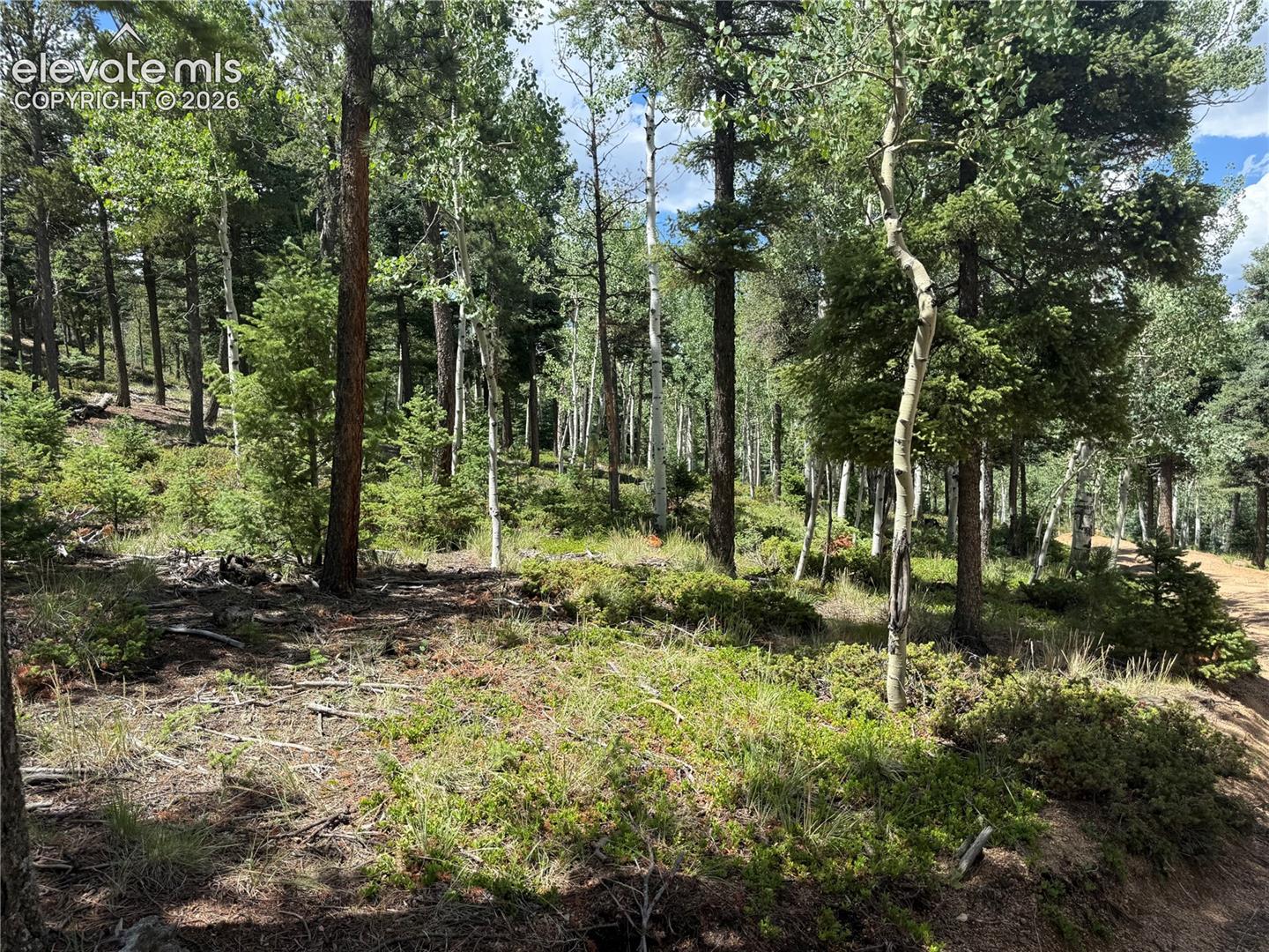 167 Big Bear Road