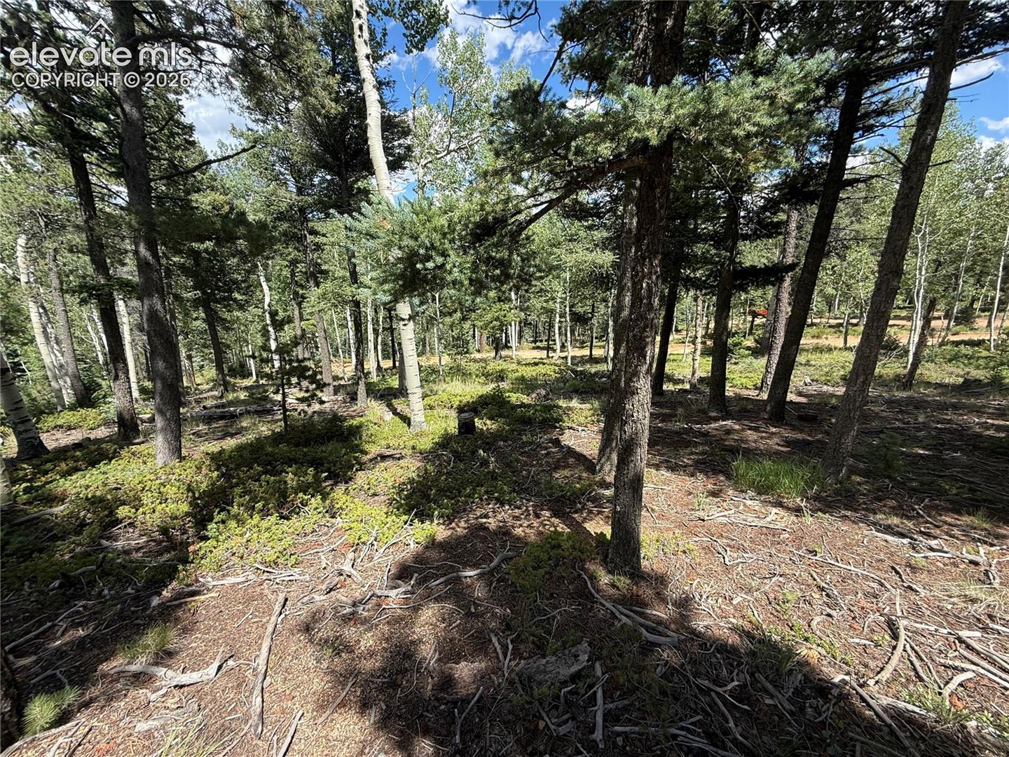 167 Big Bear Road