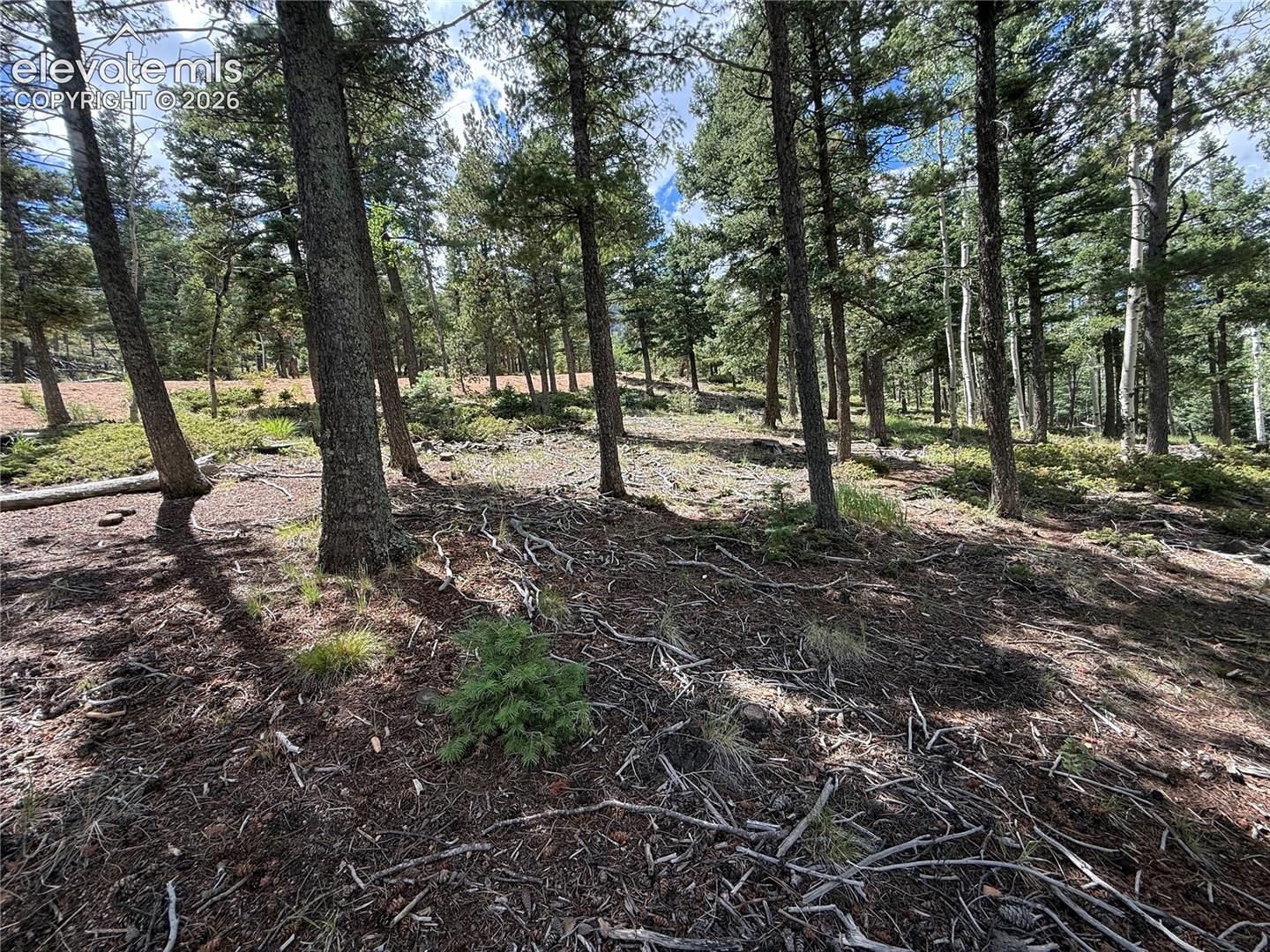 167 Big Bear Road