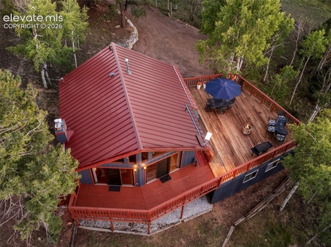 Tiny photo for 307 Berylium Road, Florissant, CO 80816 (MLS # 3553968)