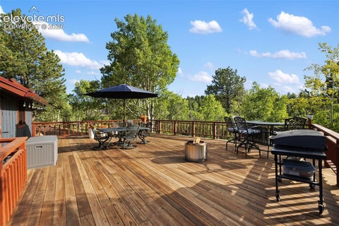 Tiny photo for 307 Berylium Road, Florissant, CO 80816 (MLS # 3553968)