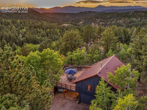 Tiny photo for 307 Berylium Road, Florissant, CO 80816 (MLS # 3553968)