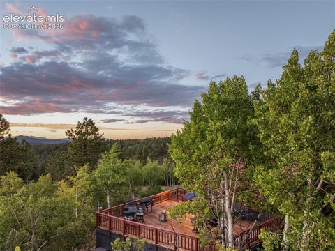 Tiny photo for 307 Berylium Road, Florissant, CO 80816 (MLS # 3553968)