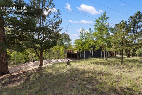 Tiny photo for 307 Berylium Road, Florissant, CO 80816 (MLS # 3553968)