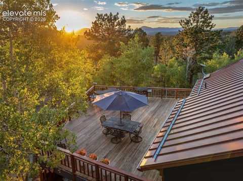 Tiny photo for 307 Berylium Road, Florissant, CO 80816 (MLS # 3553968)