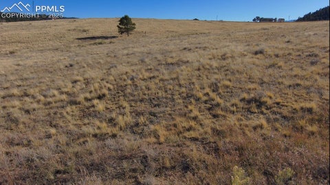 Photo of 152 Wulstein Way, Westcliffe, CO 81252 (MLS # 7382799)