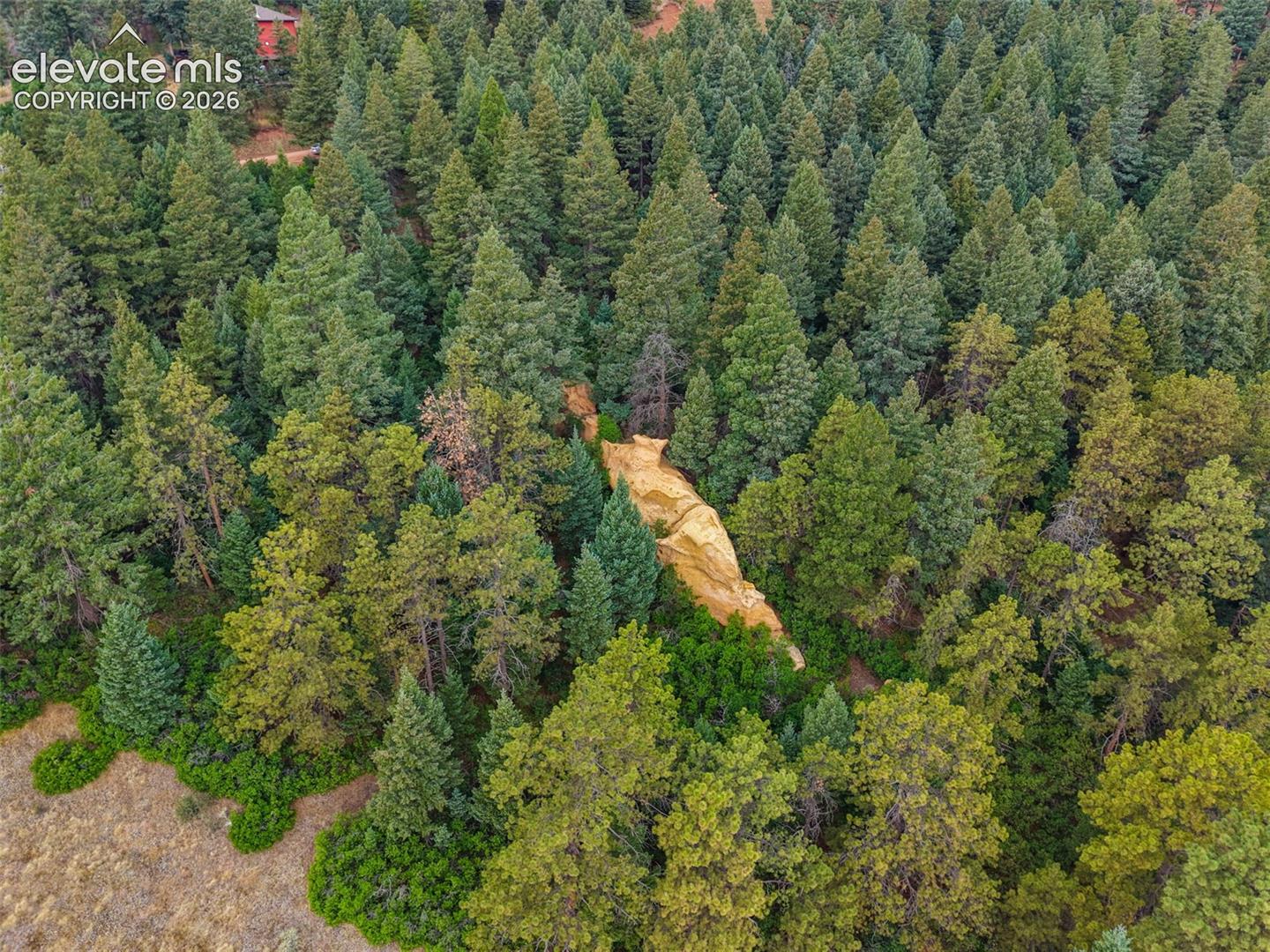 13665 Woodmoor West Drive