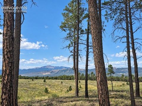 Photo of 13670 Sterling Spires Heights, Colorado Springs, CO 80908 (MLS # 9826563)