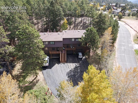 Tiny photo for 590 Manor Court #B, Woodland Park, CO 80863 (MLS # 2130891)