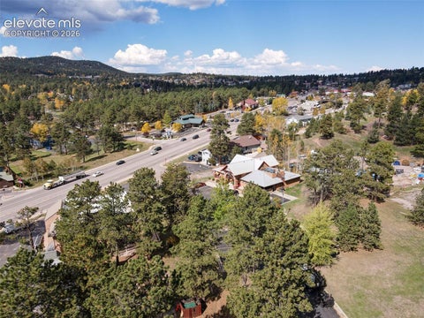 Tiny photo for 590 Manor Court #B, Woodland Park, CO 80863 (MLS # 2130891)