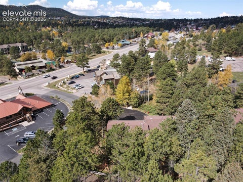 Tiny photo for 590 Manor Court #B, Woodland Park, CO 80863 (MLS # 2130891)