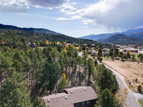 Tiny photo for 590 Manor Court #B, Woodland Park, CO 80863 (MLS # 2130891)
