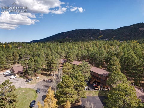 Tiny photo for 590 Manor Court #B, Woodland Park, CO 80863 (MLS # 2130891)