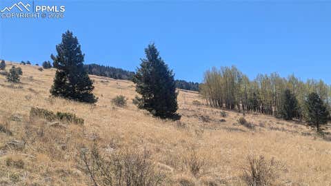 Photo of 1960 Troy Drive, Cripple Creek, CO 80813 (MLS # 6578148)