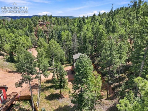 Tiny photo for 28 Joseph Road, Woodland Park, CO 80863 (MLS # 2540647)