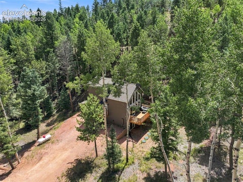 Tiny photo for 28 Joseph Road, Woodland Park, CO 80863 (MLS # 2540647)