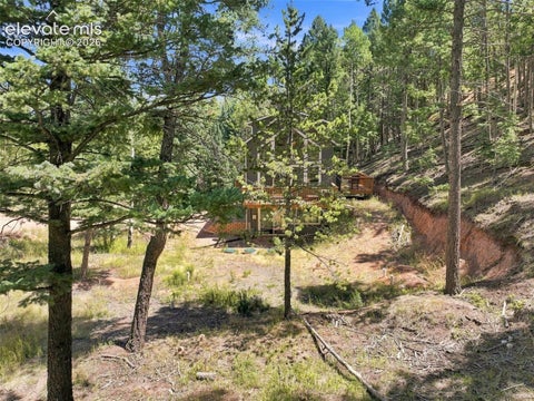 Tiny photo for 28 Joseph Road, Woodland Park, CO 80863 (MLS # 2540647)