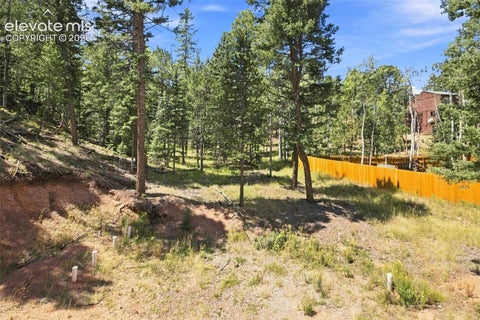 Tiny photo for 28 Joseph Road, Woodland Park, CO 80863 (MLS # 2540647)