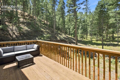 Tiny photo for 28 Joseph Road, Woodland Park, CO 80863 (MLS # 2540647)