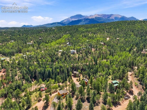 Tiny photo for 28 Joseph Road, Woodland Park, CO 80863 (MLS # 2540647)
